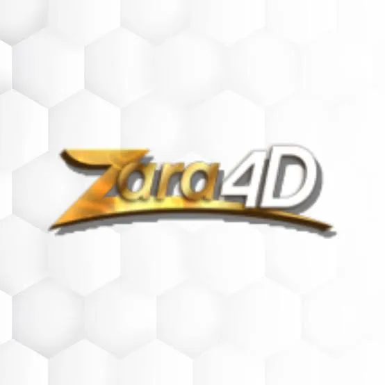 zara4d APK Puzzle